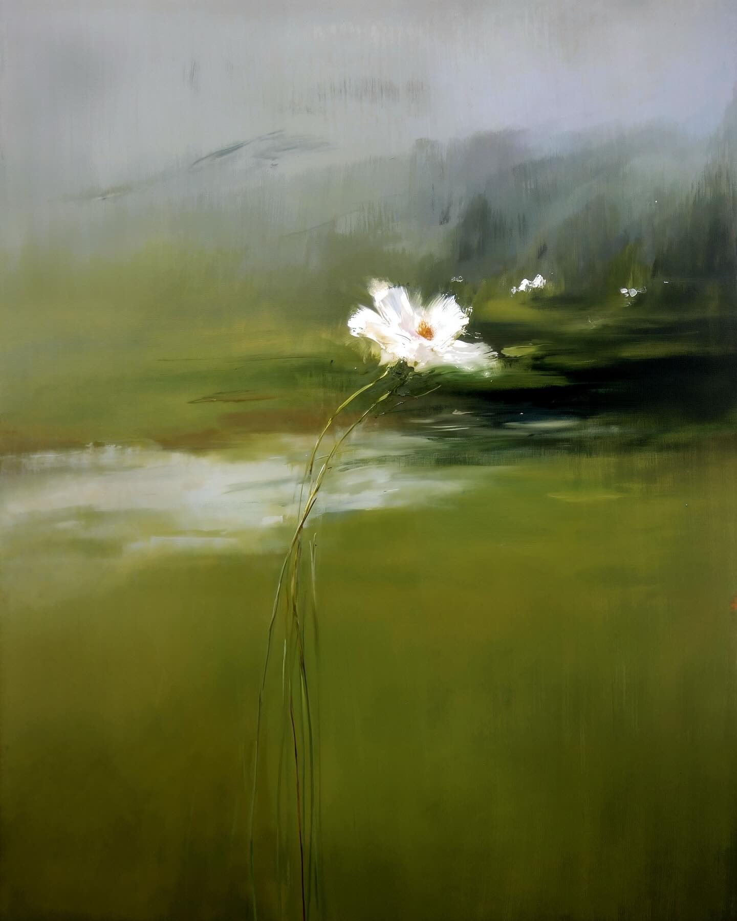 Augusta, Softly