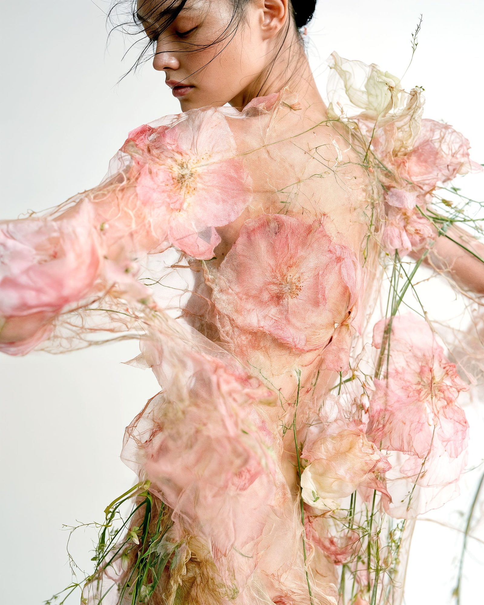 Before the Petals Fall