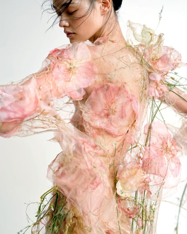 Before the Petals Fall