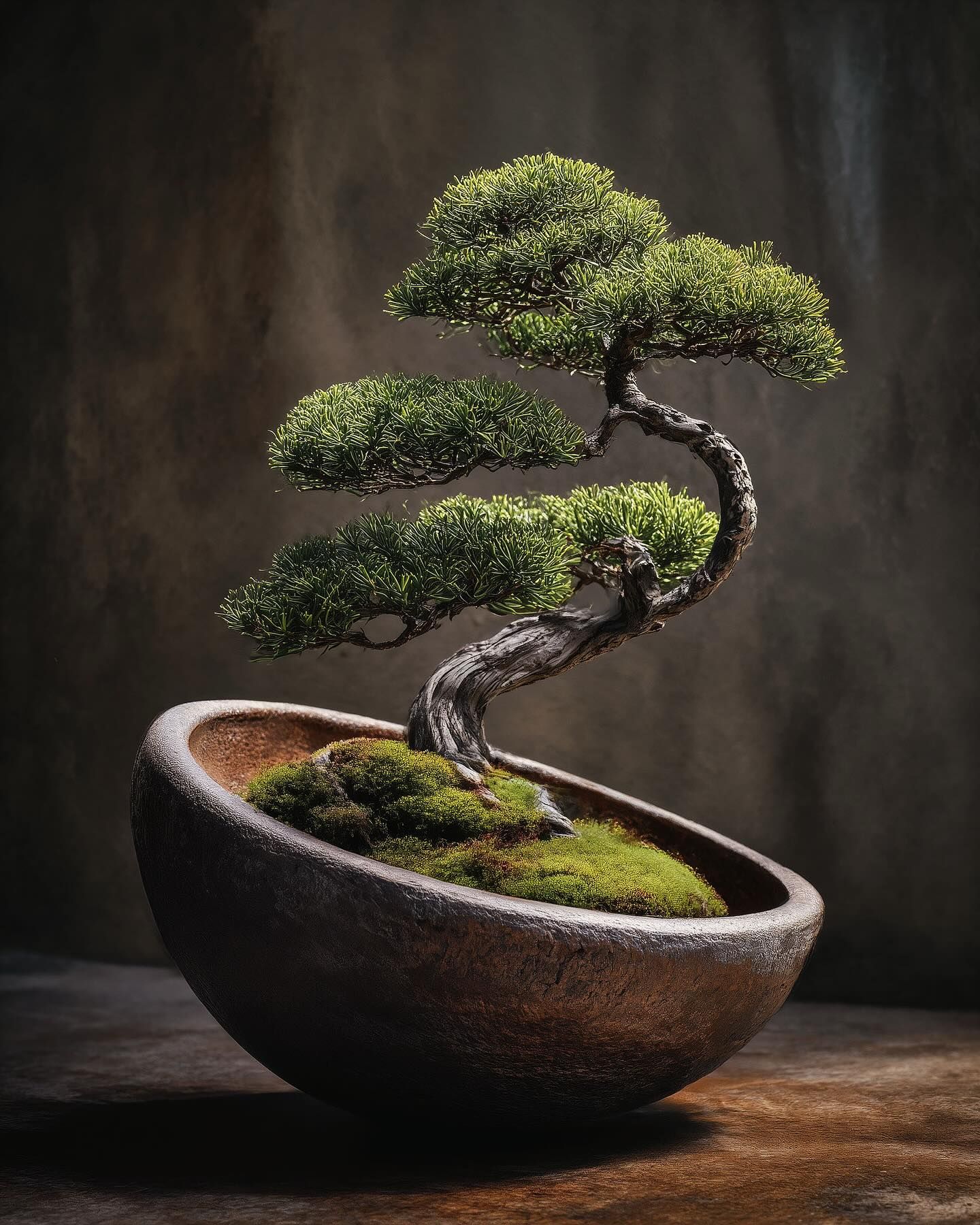 Bonsai Ballet