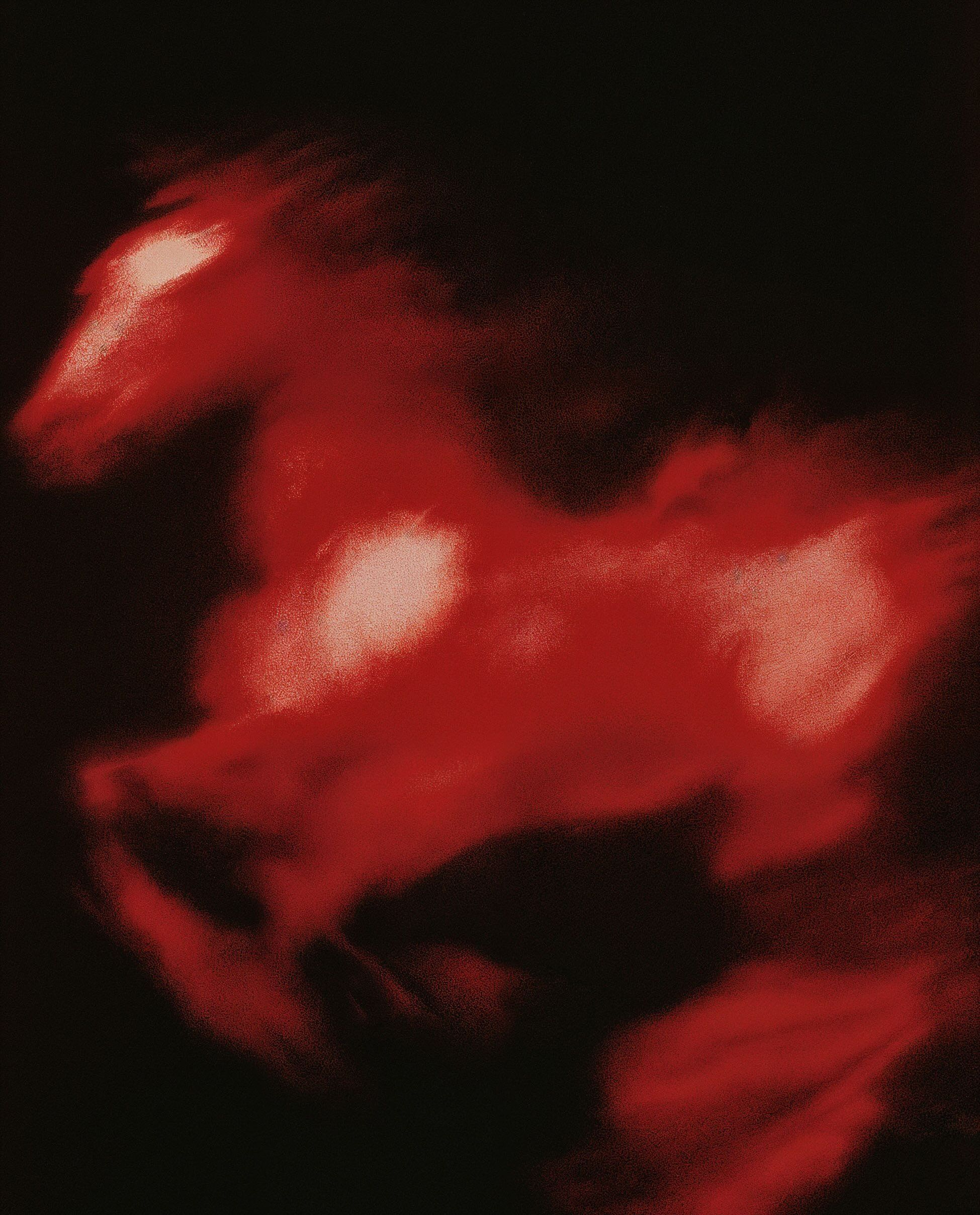 Ember Horse