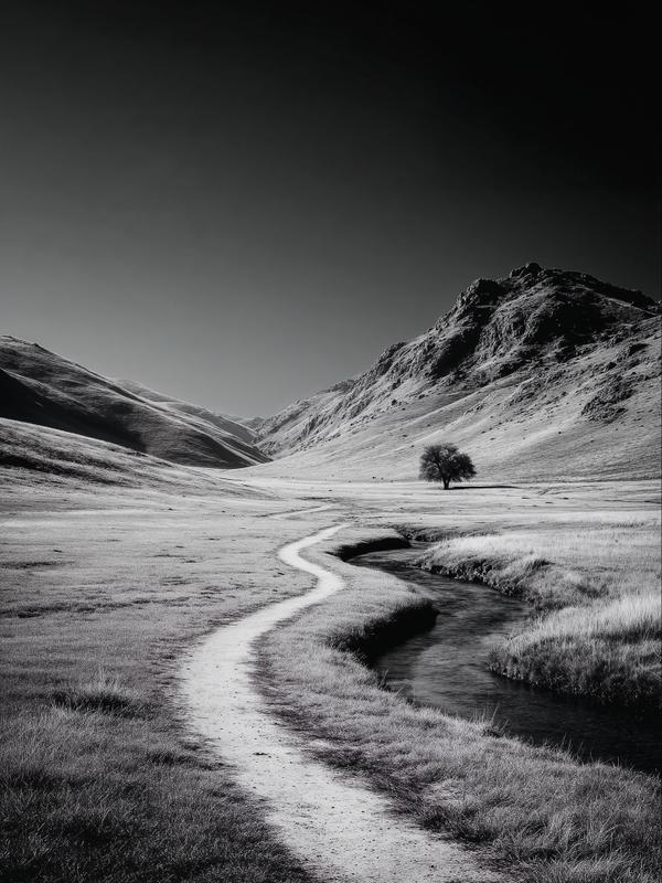 Follow the Line, Find the Magic