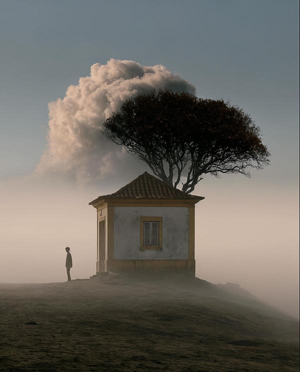 House Under Observation