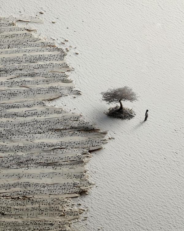 Low Tide Sonata