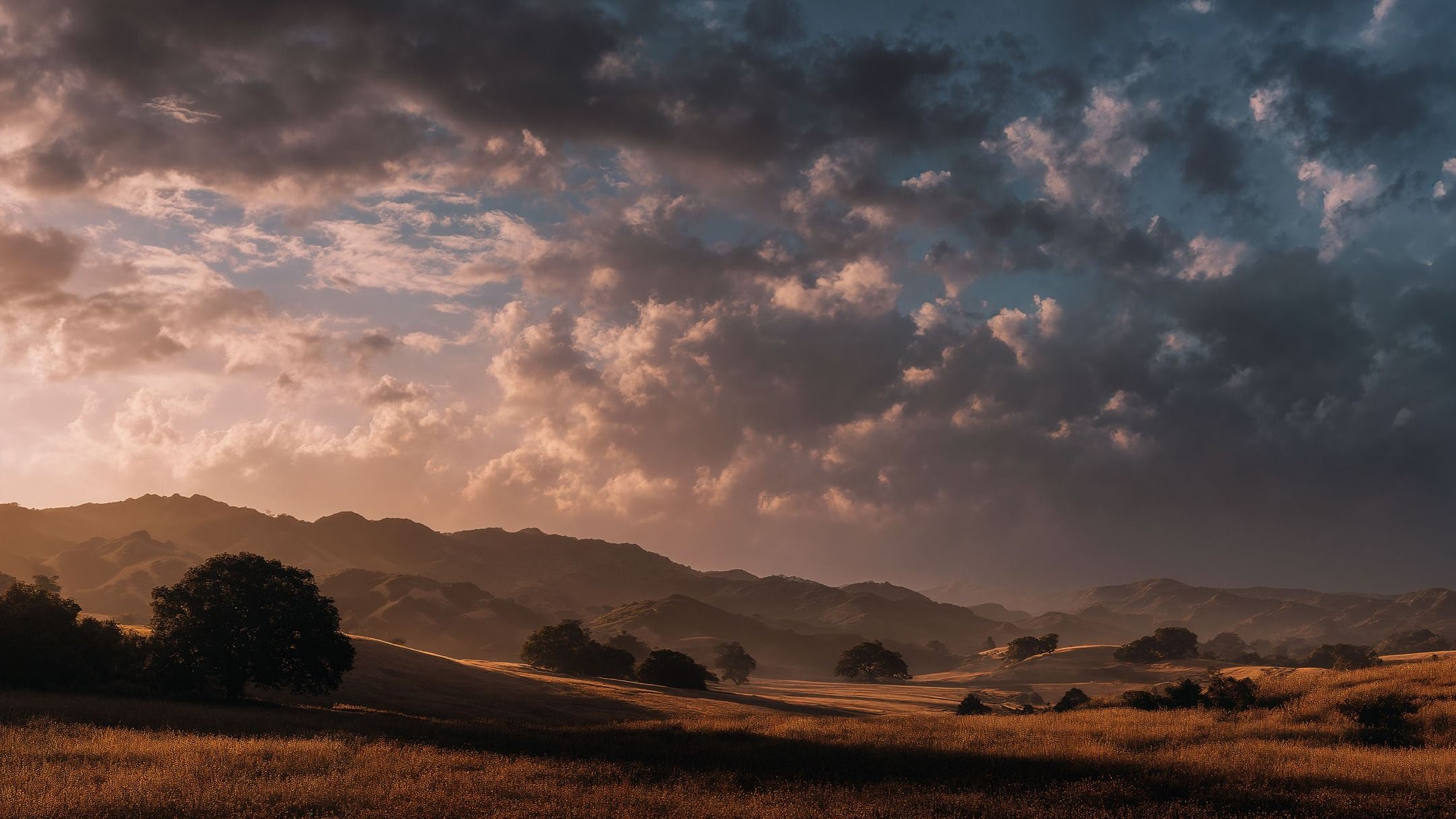 Nature’s Widescreen