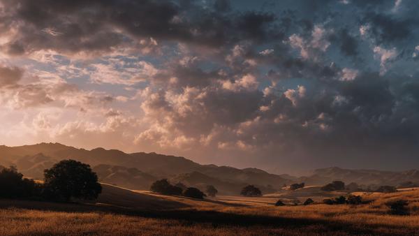 Nature’s Widescreen