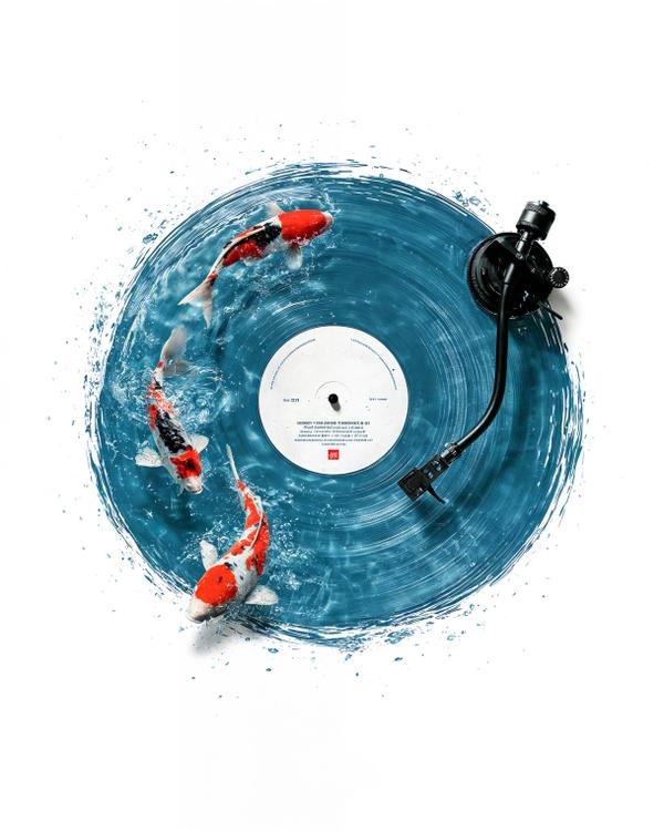 Spin Cycle