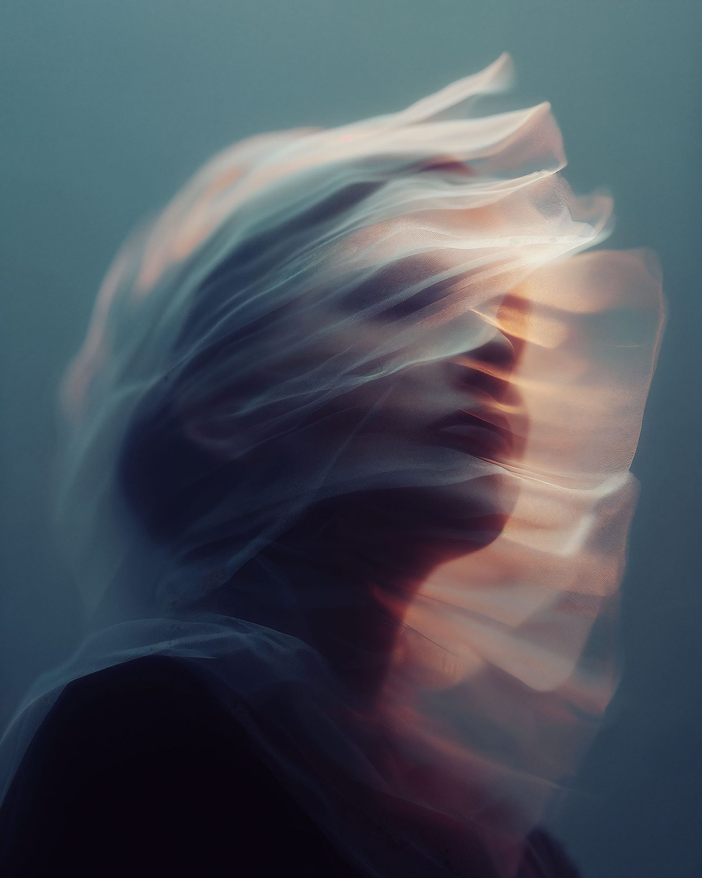 The Elegance of Movement