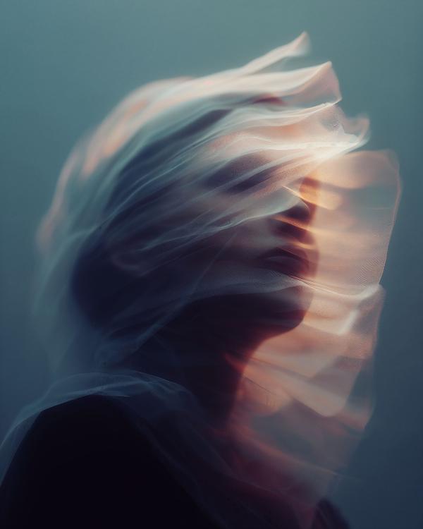 The Elegance of Movement