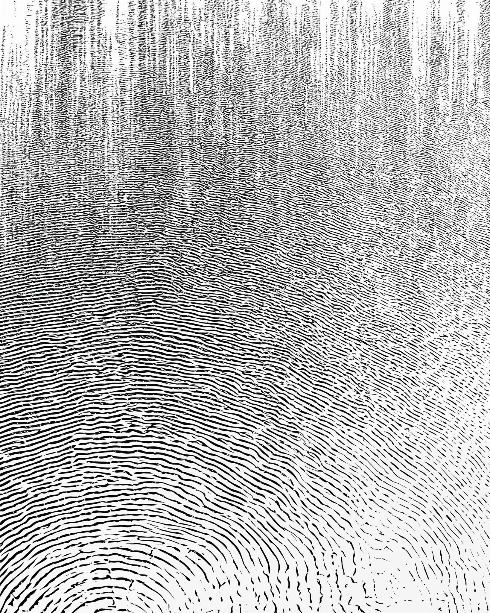 Topography of Touch
