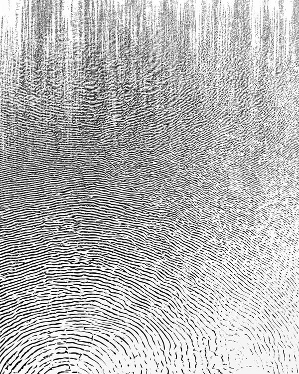 Topography of Touch