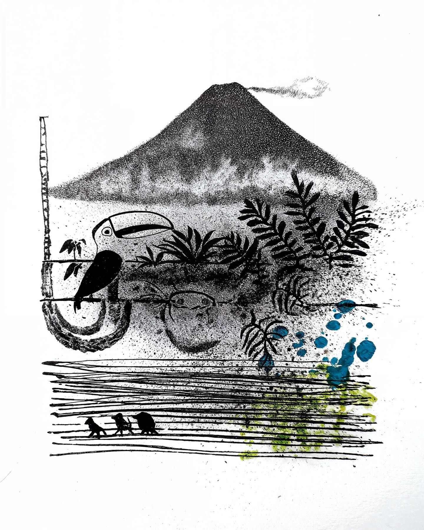 Toucan Under Arenal