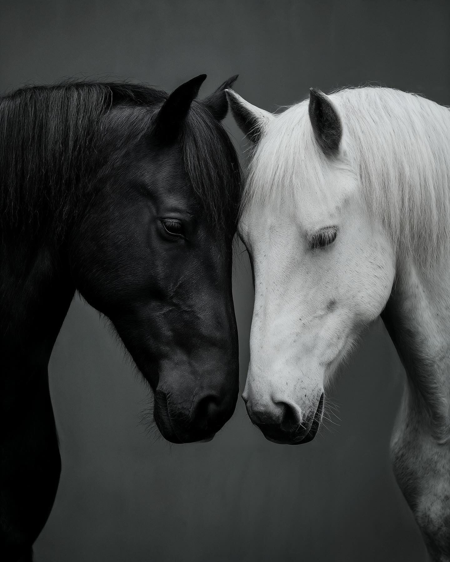 When Yin Met Yang in a Stable
