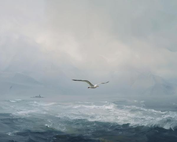Wings Where Sea Meets Sky